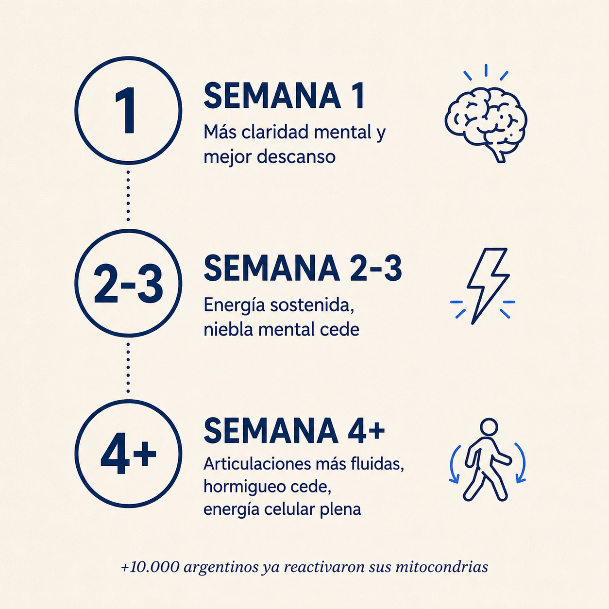 Methyl+® — Recuperá tu energía y claridad mental.