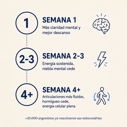 Methyl+® — Recuperá tu energía y claridad mental.